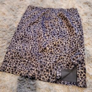 Ann Taylor silk skirt